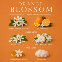 Load image into Gallery viewer, Orange Blossom 3-Wick Candle
